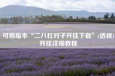 可用版本“二八杠对子开挂下载”(透视)开挂详细教程