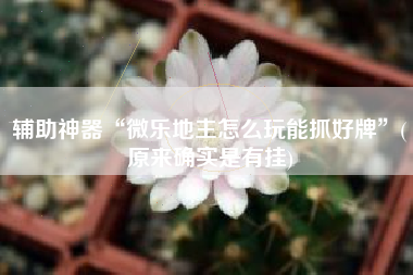 辅助神器“微乐地主怎么玩能抓好牌”(原来确实是有挂)