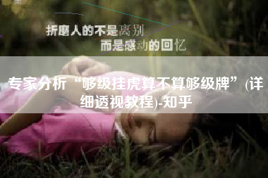 专家分析“够级挂虎算不算够级牌”(详细透视教程)-知乎