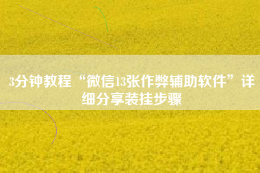 3分钟教程“微信13张作弊辅助软件”详细分享装挂步骤