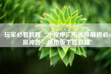 玩家必看教程“小程序广东雀神麻将必赢神器	”通用版下载教程