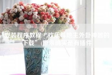 安装程序教程“欢乐斗地主外卦神器的下载”(原来确实是有插件