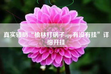 真实辅助“榆林打锅子app有没有挂”详细开挂