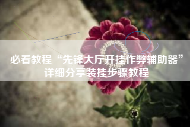 必看教程“先锋大厅开挂作弊辅助器”详细分享装挂步骤教程