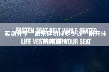 实测分享“微乐麻将挂多少钱”附开挂脚本详细