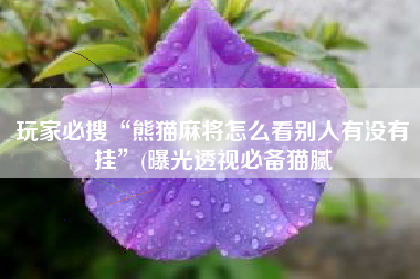 玩家必搜“熊猫麻将怎么看别人有没有挂”(曝光透视必备猫腻