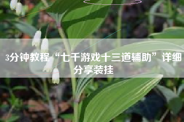 3分钟教程“七千游戏十三道辅助	”详细分享装挂