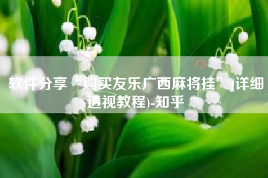 软件分享“购买友乐广西麻将挂”(详细透视教程)-知乎
