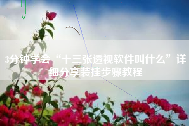 3分钟学会“十三张透视软件叫什么”详细分享装挂步骤教程