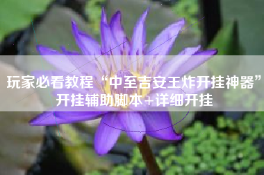 玩家必看教程“中至吉安王炸开挂神器”开挂辅助脚本+详细开挂