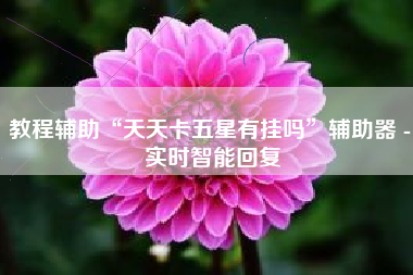 教程辅助“天天卡五星有挂吗”辅助器 - 实时智能回复