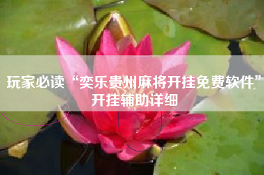 玩家必读“奕乐贵州麻将开挂免费软件”开挂辅助详细