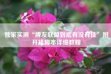 独家实测“牌友联盟到底有没有挂”附开挂脚本详细教程