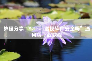 教程分享“WePoker透视软件安全吗”通用版下载教程
