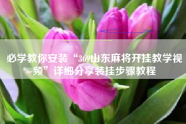 必学教你安装“369山东麻将开挂教学视频”详细分享装挂步骤教程