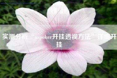 实测分析“aapoker开挂透视方法	”详细开挂