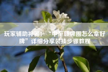 玩家辅助神器：“中至赣牌圈怎么拿好牌”详细分享装挂步骤教程