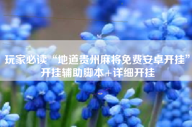 玩家必读“地道贵州麻将免费安卓开挂”开挂辅助脚本+详细开挂