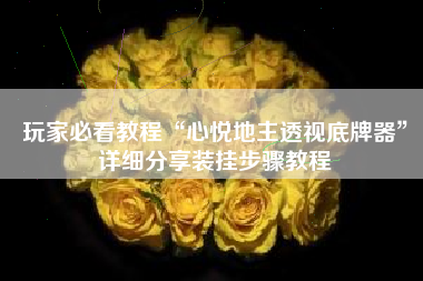 玩家必看教程“心悦地主透视底牌器	”详细分享装挂步骤教程