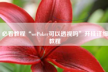 必看教程“wePoker可以透视吗”开挂详细教程
