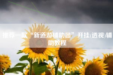 推荐一款“新道游辅助器	”开挂(透视)辅助教程