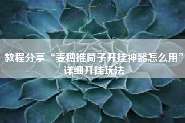 教程分享“麦穗推筒子开挂神器怎么用	”详细开挂玩法