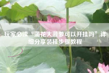 玩家必读“蒲花大菠萝可以开挂吗	”详细分享装挂步骤教程