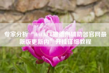 专家分析“HACKER猫德州辅助器官网最新版更新内”开挂详细教程
