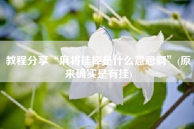 教程分享“麻将挂棒是什么意思啊”(原来确实是有挂)