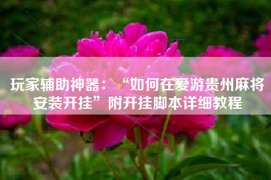 玩家辅助神器：“如何在爱游贵州麻将安装开挂”附开挂脚本详细教程