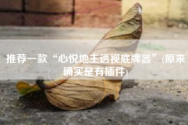 推荐一款“心悦地主透视底牌器	”(原来确实是有插件)