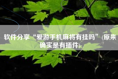 软件分享“爱游手机麻将有挂吗	”(原来确实是有插件)