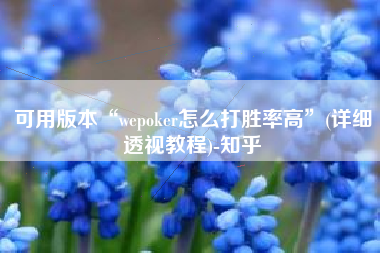 可用版本“wepoker怎么打胜率高”(详细透视教程)-知乎