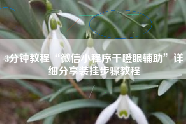 3分钟教程“微信小程序干瞪眼辅助”详细分享装挂步骤教程