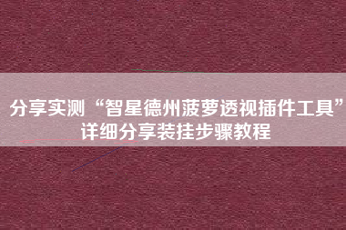 分享实测“智星德州菠萝透视插件工具	”详细分享装挂步骤教程