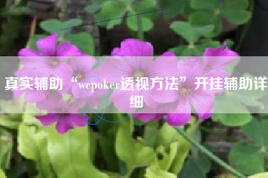 真实辅助“wepoker透视方法”开挂辅助详细