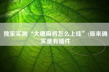 独家实测“大唐麻将怎么上挂”(原来确实是有插件