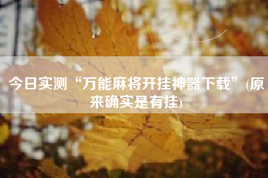 今日实测“万能麻将开挂神器下载	”(原来确实是有挂)