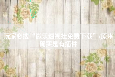 玩家必搜“微乐透视挂免费下载	”(原来确实是有插件