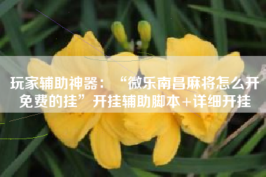 玩家辅助神器：“微乐南昌麻将怎么开免费的挂	”开挂辅助脚本+详细开挂