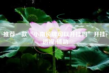 推荐一款“小南长牌可以开挂吗”开挂(透视)辅助