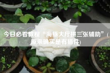 今日必看教程“海豚大厅拼三张辅助	”(原来确实是有插件)