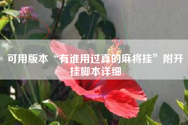 可用版本“有谁用过真的麻将挂”附开挂脚本详细