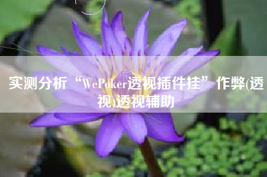 实测分析“WePoker透视插件挂”作弊(透视)透视辅助
