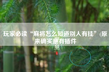 玩家必读“麻将怎么知道别人有挂”(原来确实是有插件