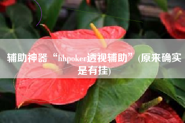辅助神器“hhpoker透视辅助”(原来确实是有挂)