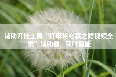 辅助开挂工具“打麻将必赢之路视频全集	”辅助器 - 实时智能