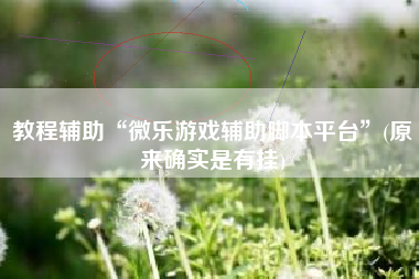 教程辅助“微乐游戏辅助脚本平台	”(原来确实是有挂)