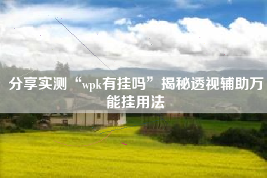 分享实测“wpk有挂吗	”揭秘透视辅助万能挂用法