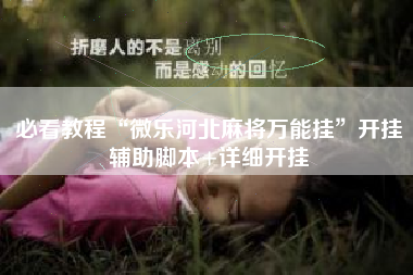 必看教程“微乐河北麻将万能挂”开挂辅助脚本+详细开挂